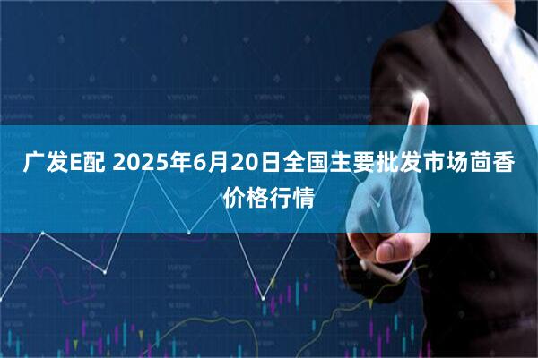 广发E配 2025年6月20日全国主要批发市场茴香价格行情