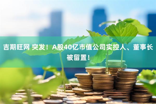 吉期旺网 突发！A股40亿市值公司实控人、董事长被留置！