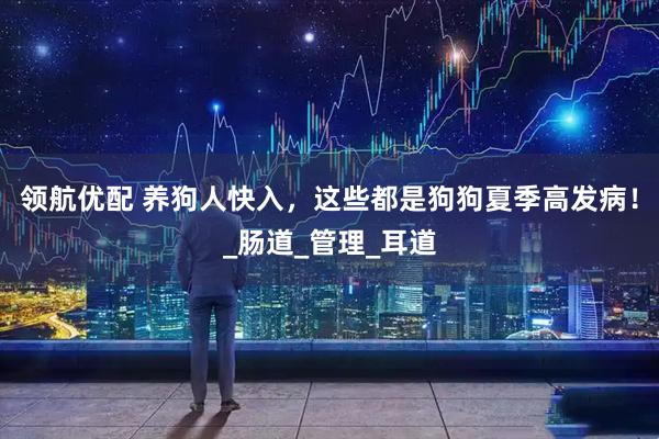 领航优配 养狗人快入，这些都是狗狗夏季高发病！_肠道_管理_耳道