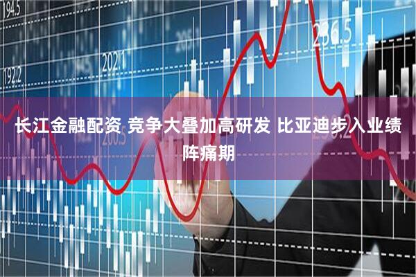 长江金融配资 竞争大叠加高研发 比亚迪步入业绩阵痛期